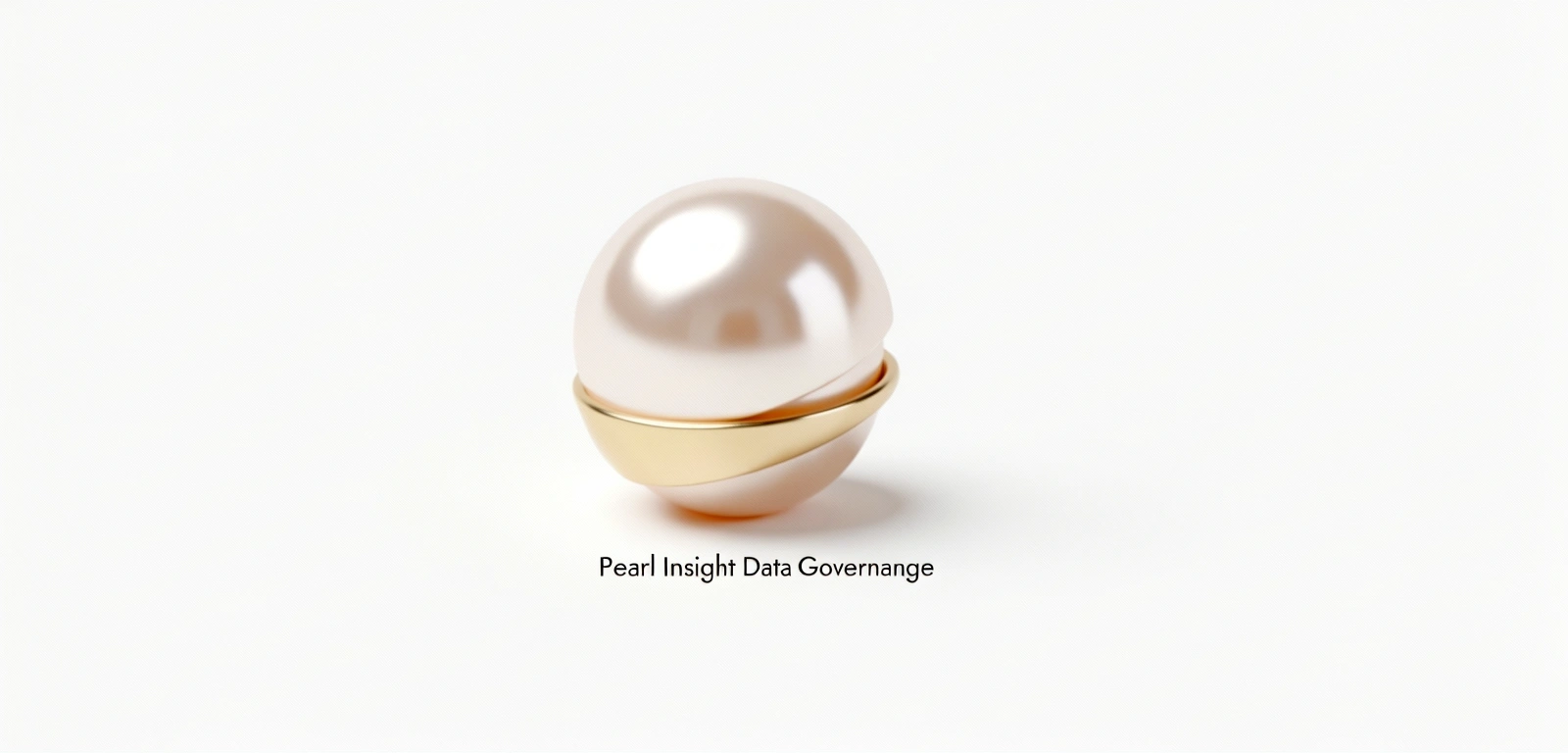 Pearl Insight Data Governance